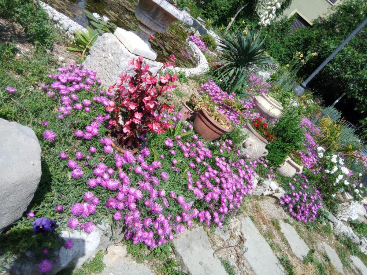 Villa Fiorita Monfalcone Dış mekan fotoğraf