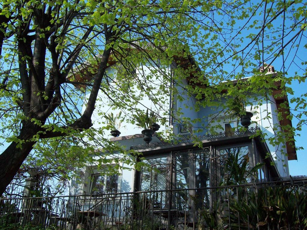Villa Fiorita Monfalcone Oda fotoğraf