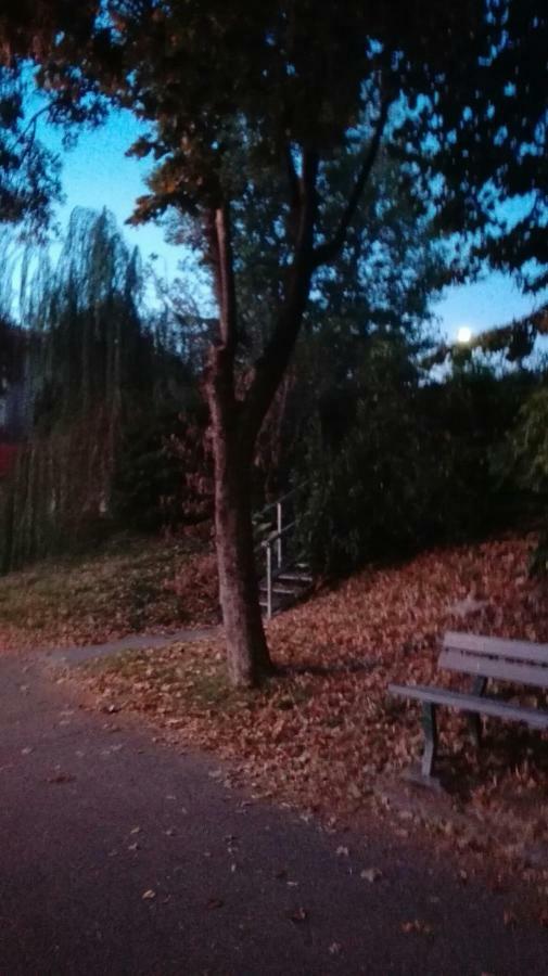 Villa Fiorita Monfalcone Dış mekan fotoğraf